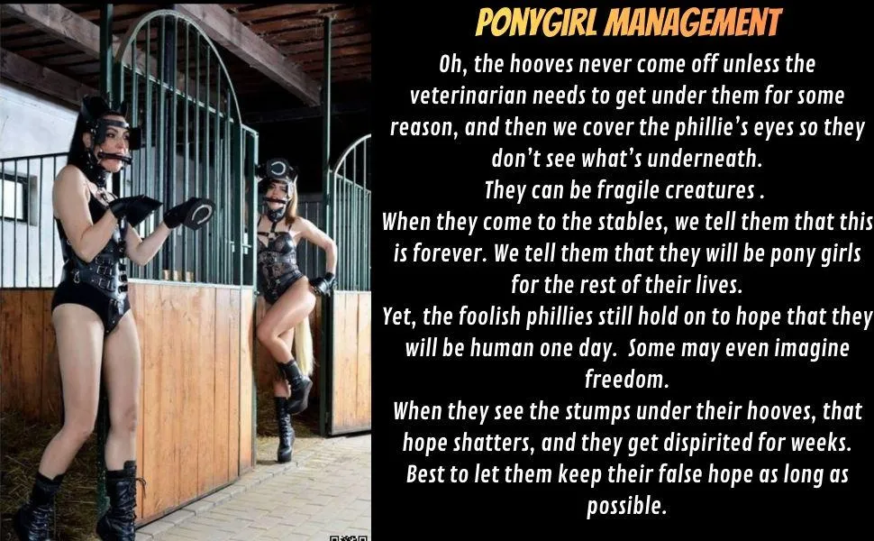 Ponygirl psychology in Philly management posted by LordOseleon