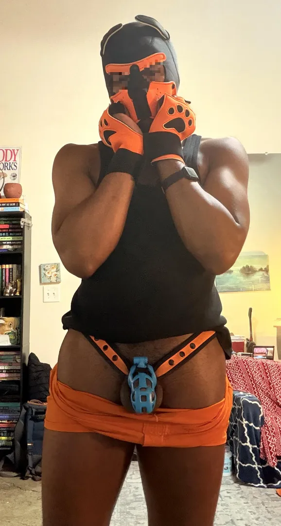 Pouty pup needs a milking ‍ posted by MyOwnLittleBiome
