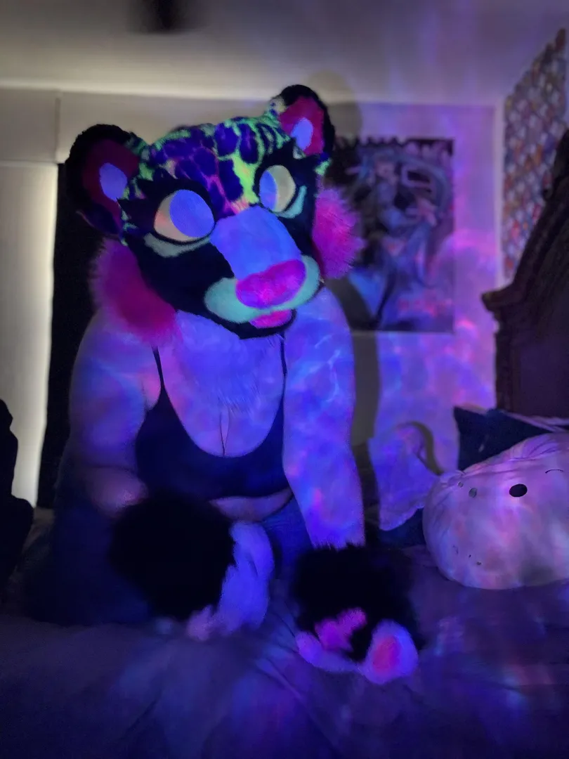 POV: Dumb kitty wants to sit in your lap  posted by astralwritings