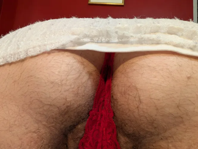 POV: HairyCurvyQueen sits on your face by HairyCurvyQueen