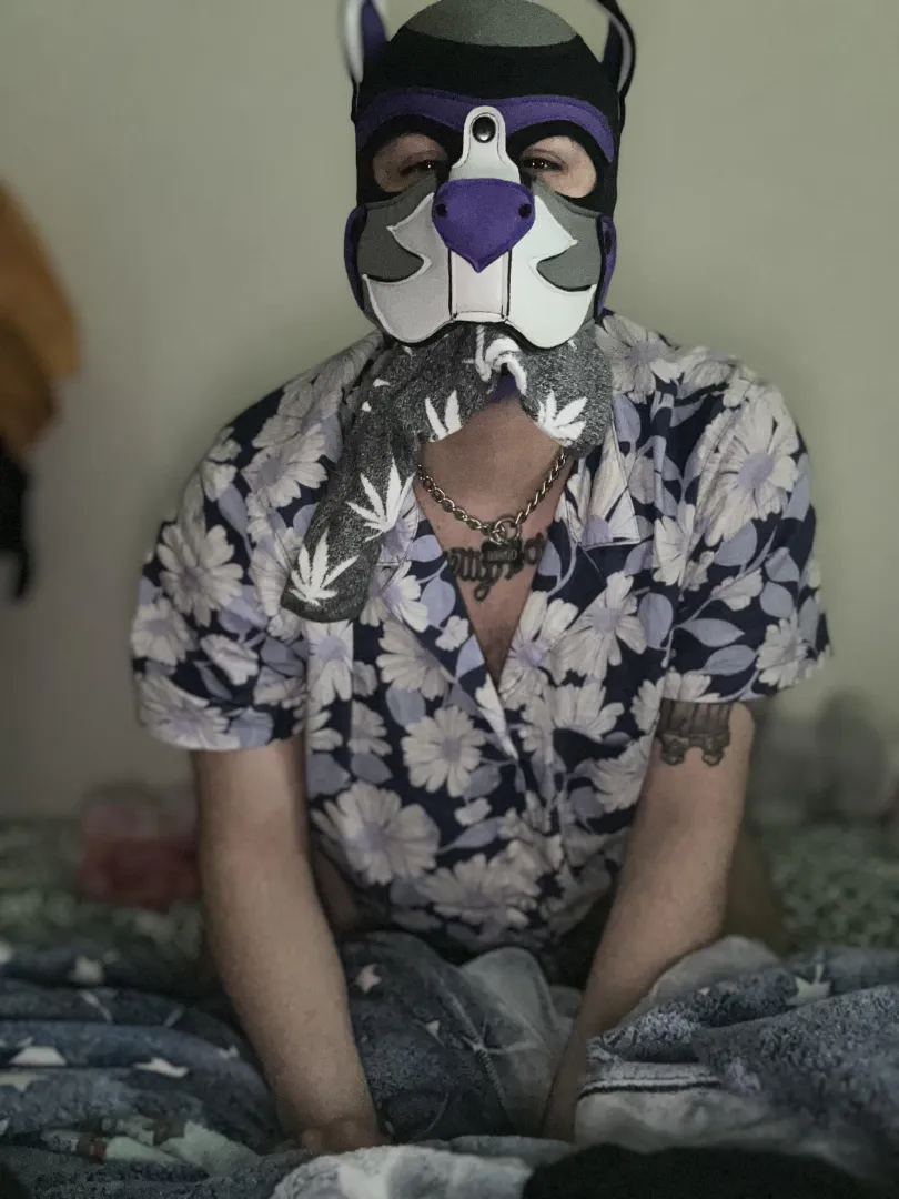 POV: I wake up before you posted by Tranzpuppy