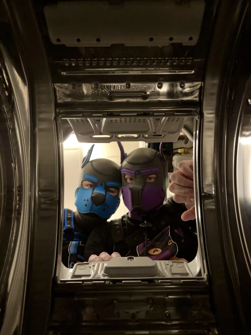 POV: your puppy parents put you in the washing machine to wash away your puppy sins  posted by PupFinn_NL