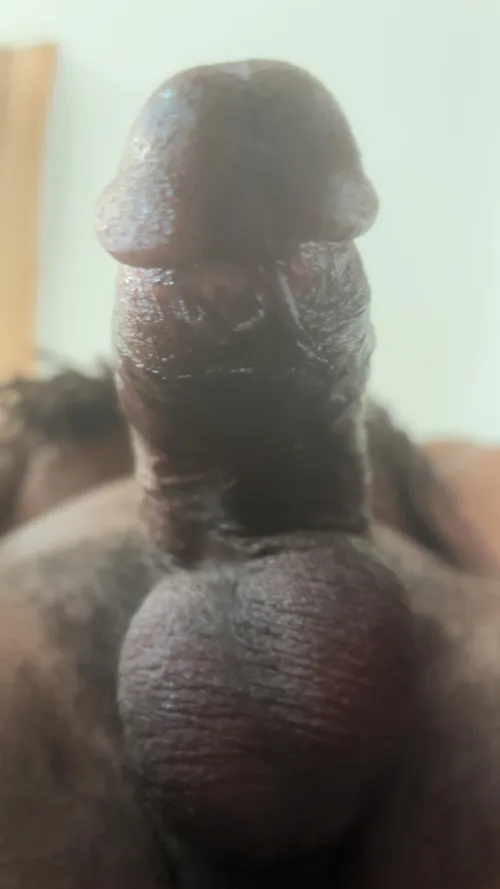 POV: You’re about to suck me until I’m rock hard by darkwood2