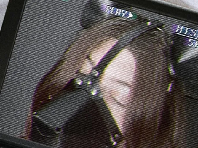 POV you’re filming a puppy in heat by f3ral-and-sterile