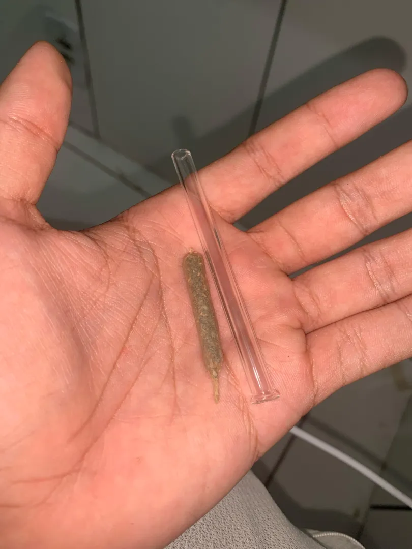 Pra vcs aí q falaram q tava sem piteira posted by shottzkkj