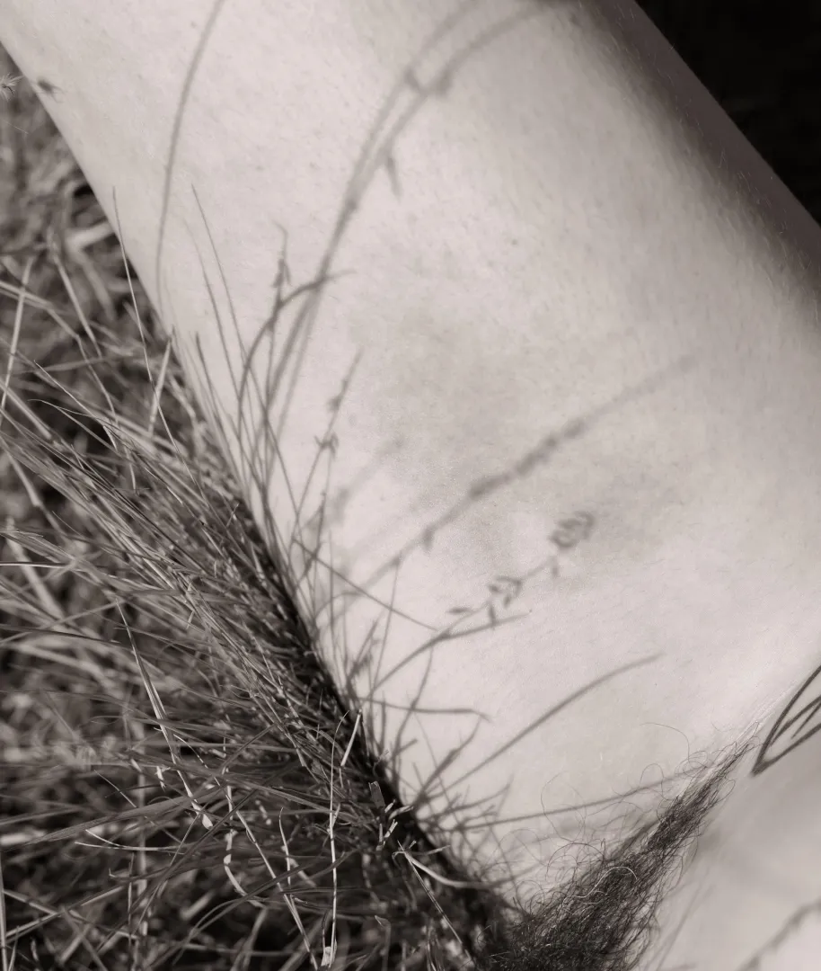 prairie daydreams (self shot) posted by _creature_feature