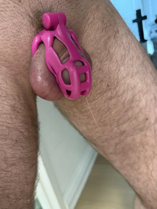 Pray For Me by [deleted]