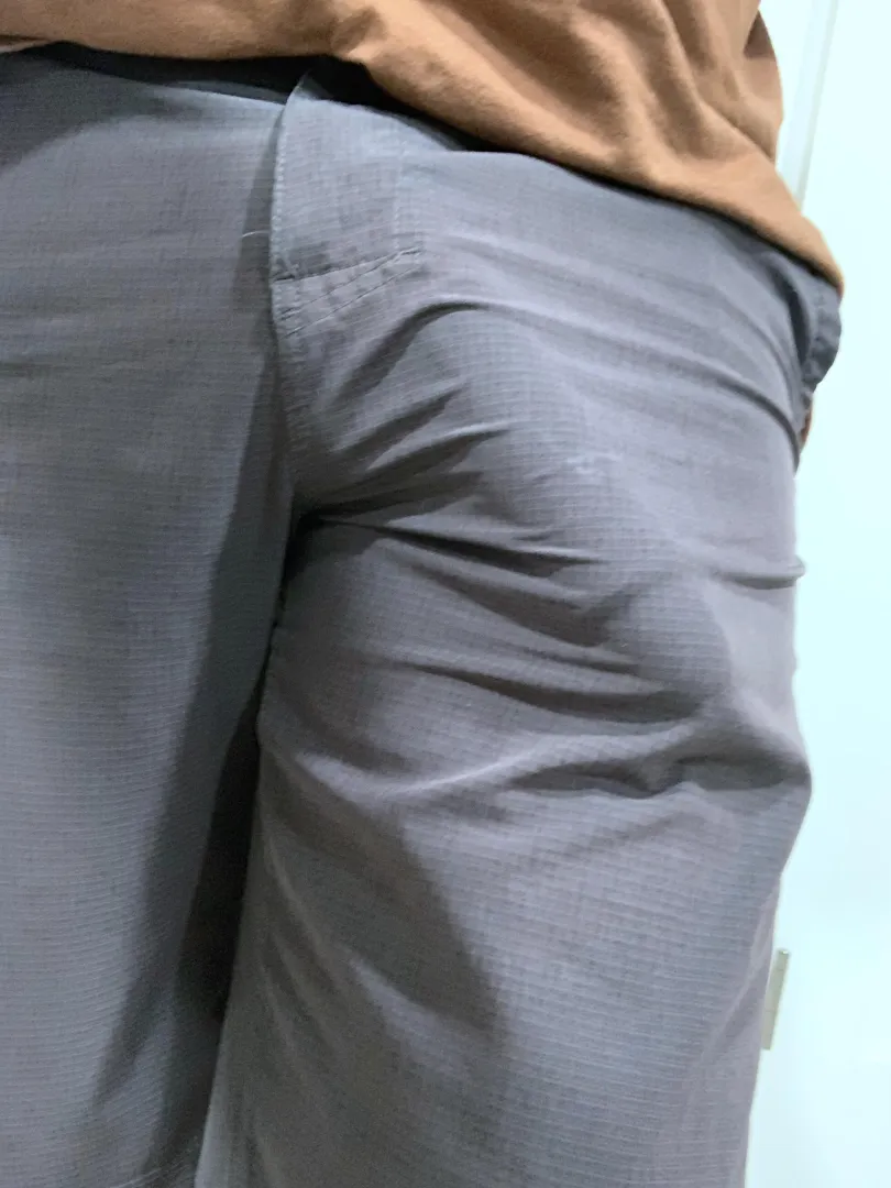 Prefers his freedom! posted by UTsneak