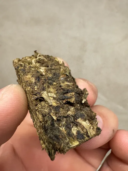 Pren feio mas gosto bom e chapante by save_the_jungle