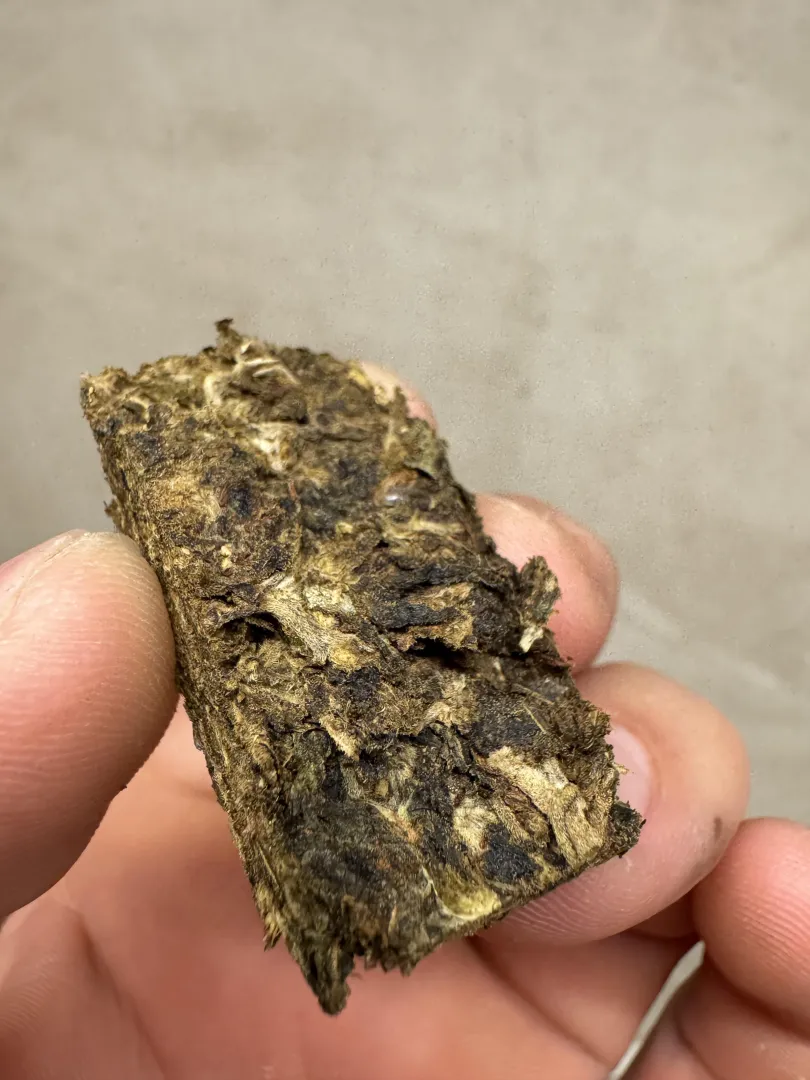 Pren feio mas gosto bom e chapante posted by save_the_jungle