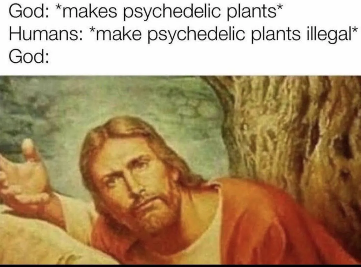 Pretty Accurate posted by Hopeful-Custard9355