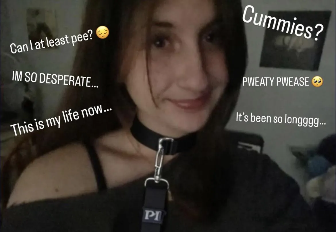 Pretty pls take me on a walk, I NEEED TO PEE!!  posted by krjj23