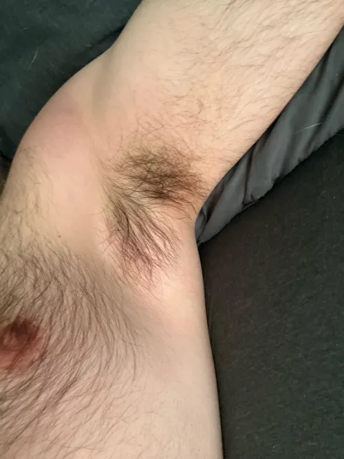 Primal musk is taking over this morning by kingkong4204