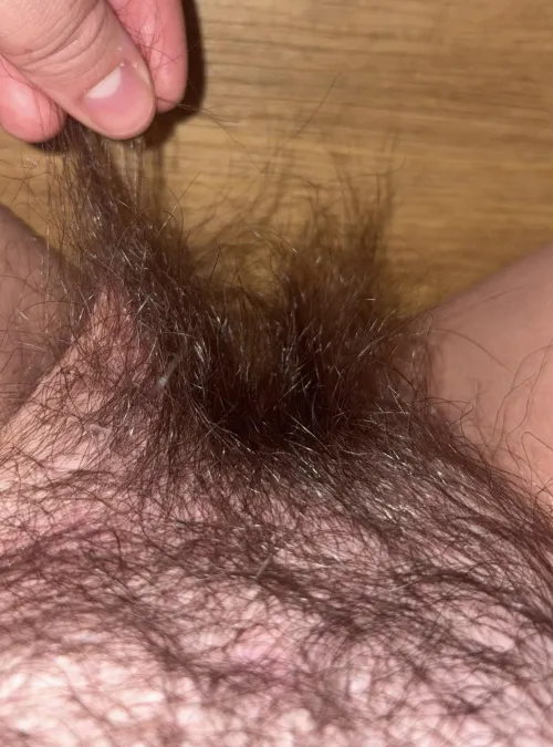 Pull on my bush as i suck your dick? by DateFew9389