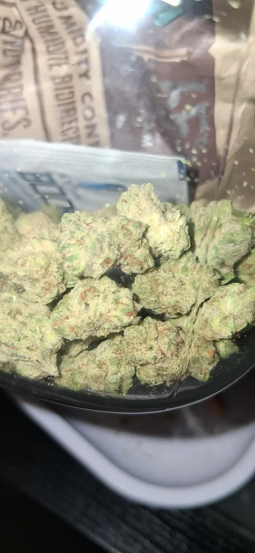 Punch Breath -Lucky Elk posted by ShottyBlastin101