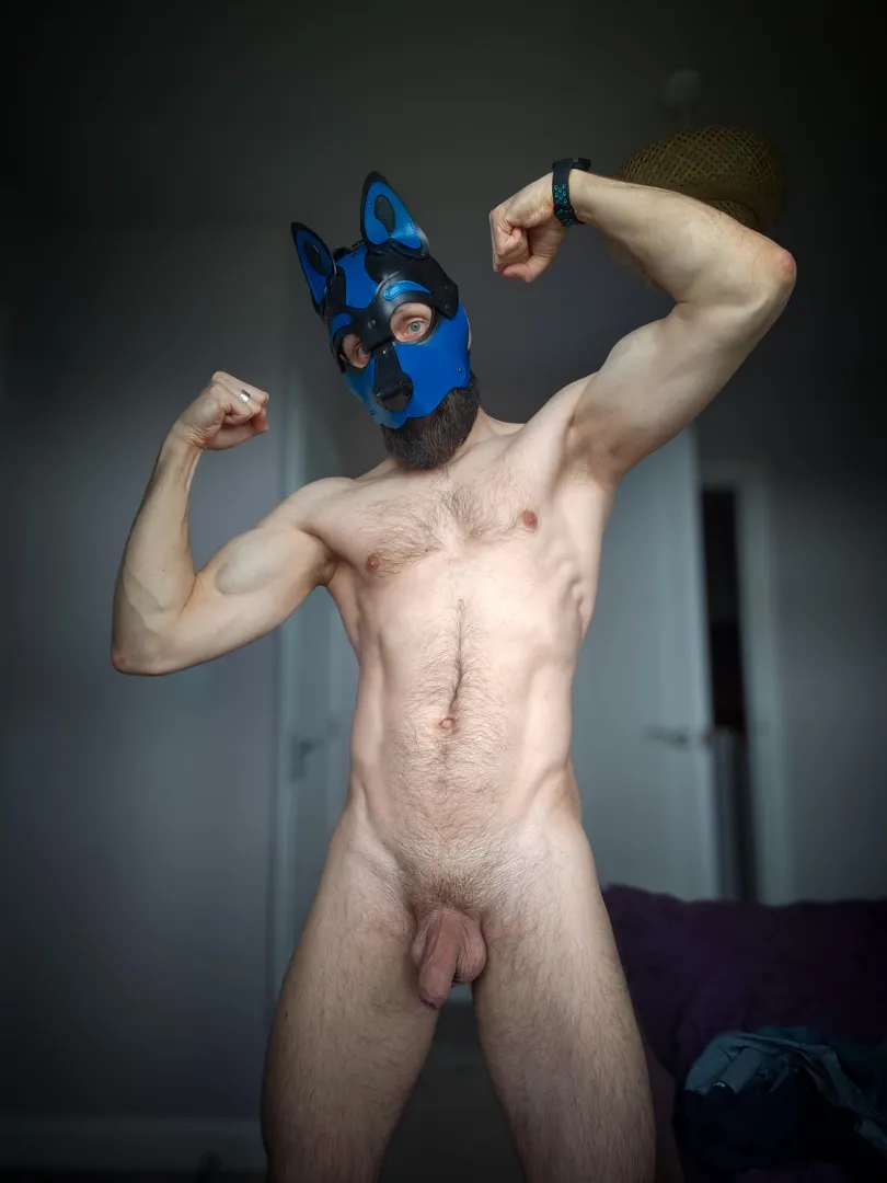 Pup flexing  posted by BeardWoof1337
