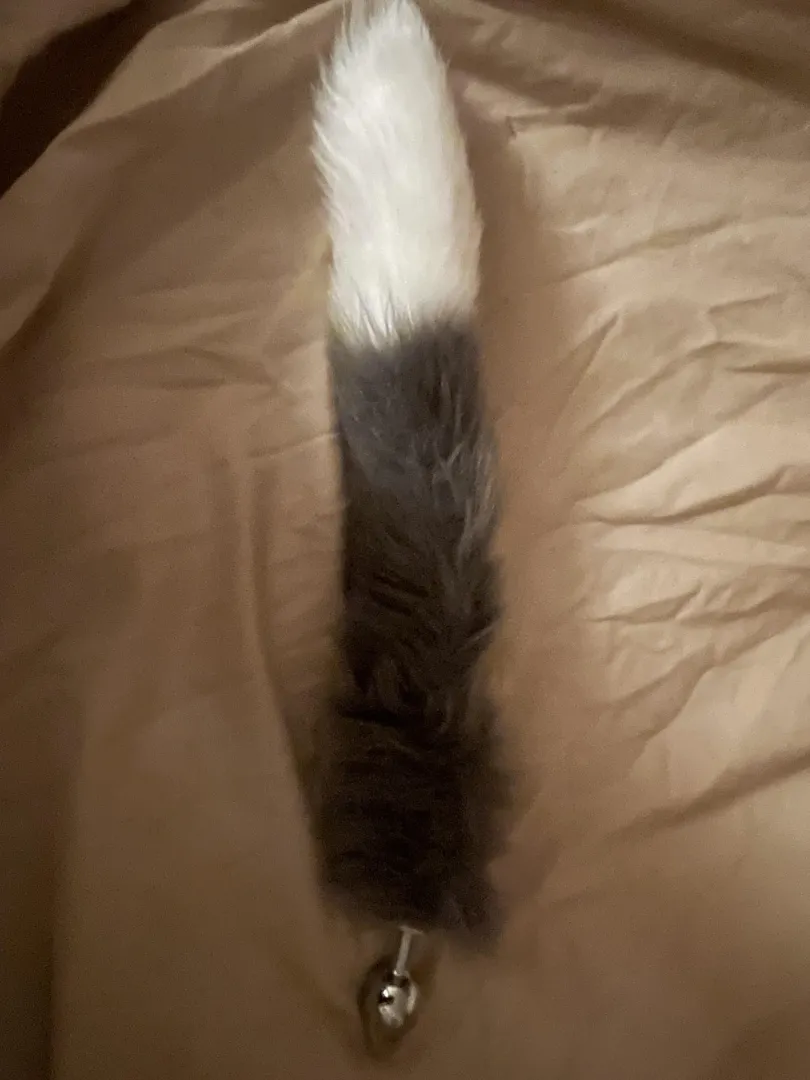 puppies plug arrived today :3 posted by _goodkitty_