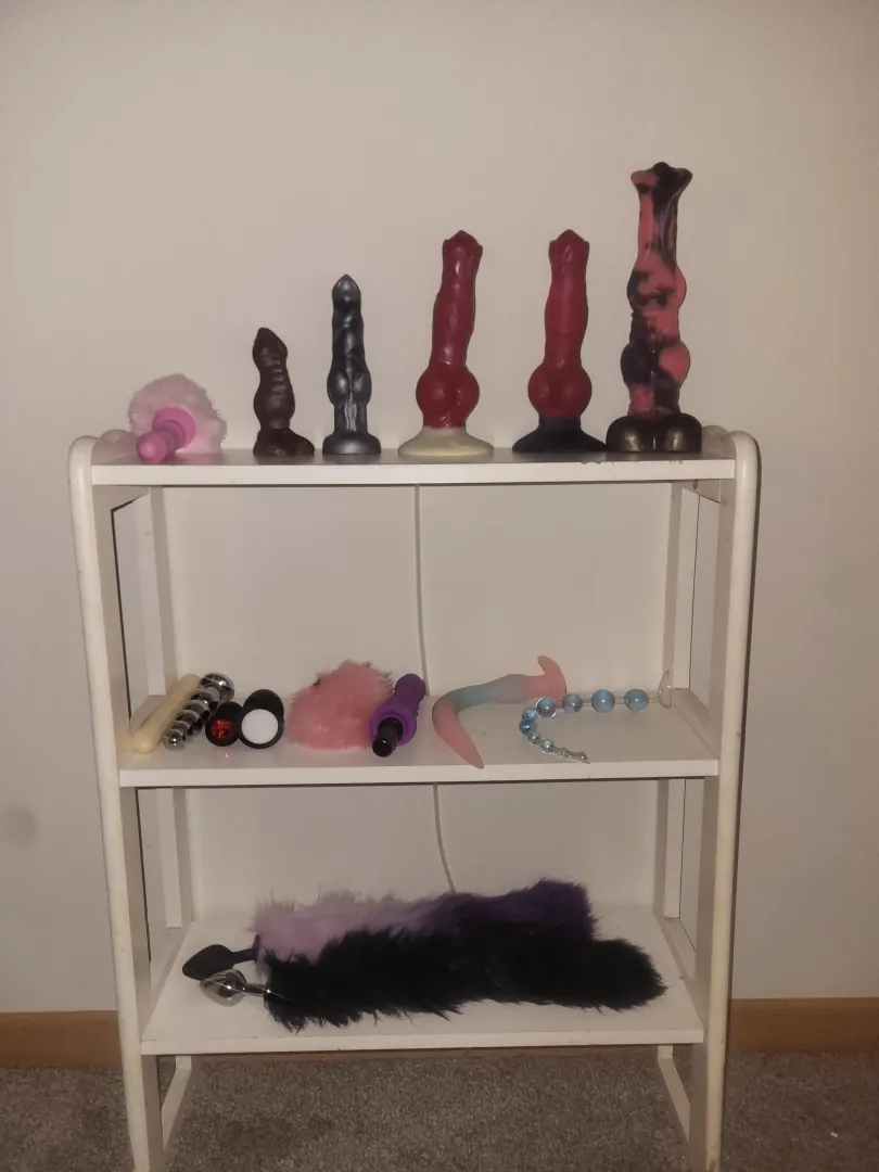 Puppy has so mamy toys and no motivation to use them... posted by Weak_Wish