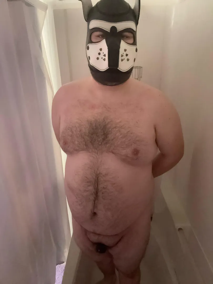 Puppy needs a bath posted by SnooCakes6910