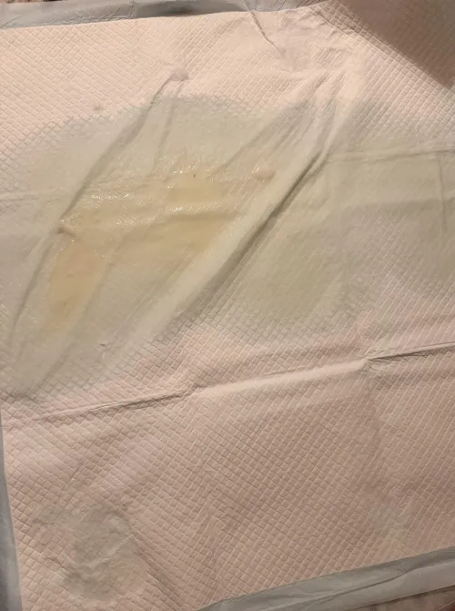 Puppy pad! hi by Sea_Fly5669