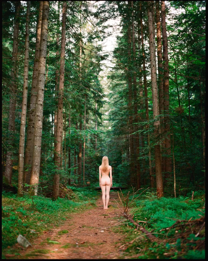 Pure gold in the forest posted by Artem_Stisovyak