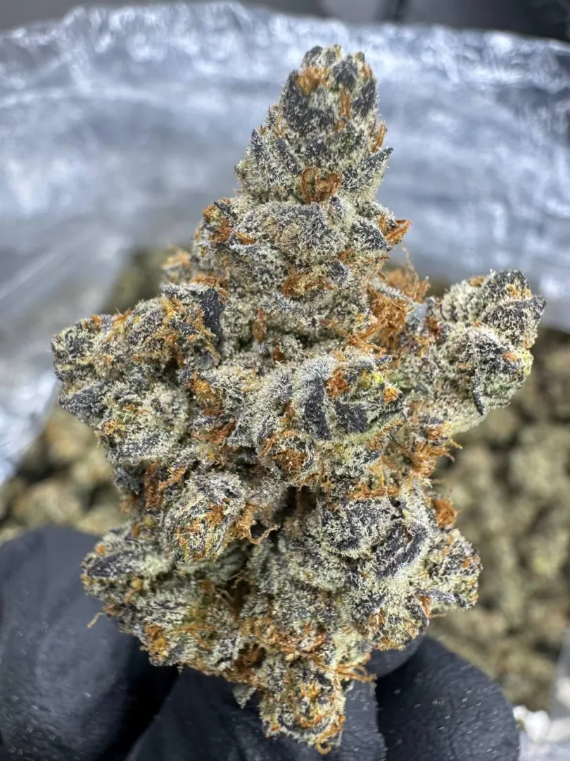 Pure Michigan posted by cuoiv