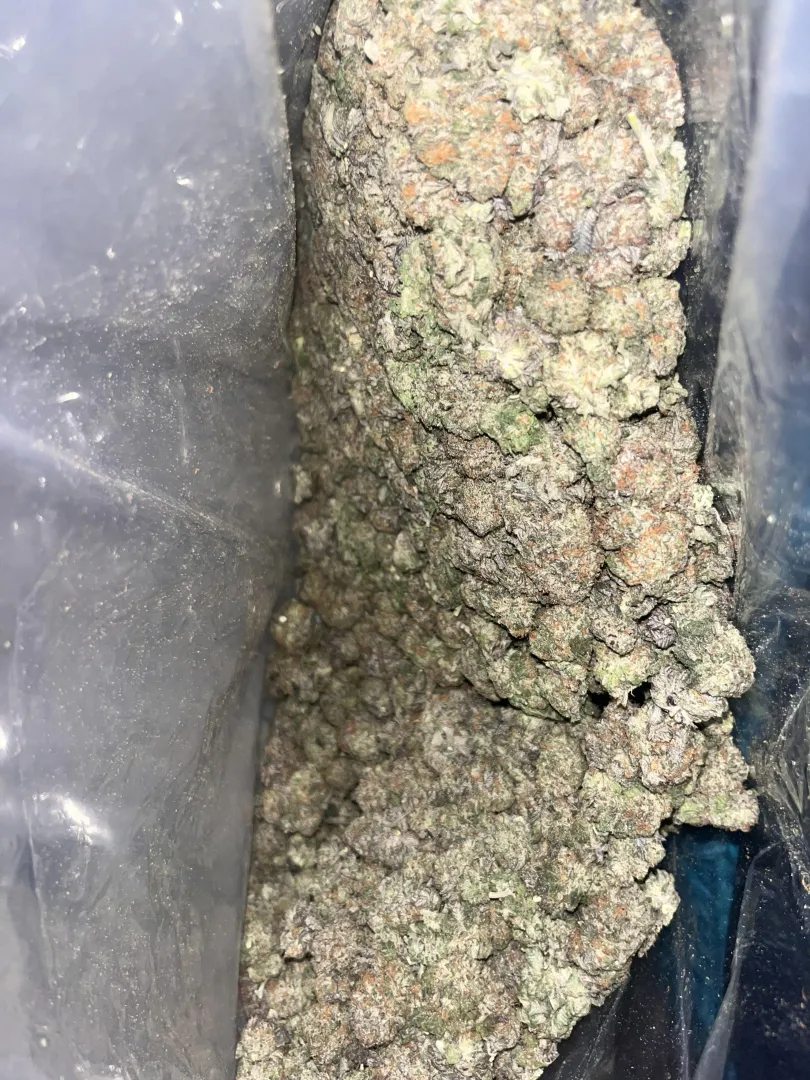 Purple plat  posted by Gloomy-Fox7471