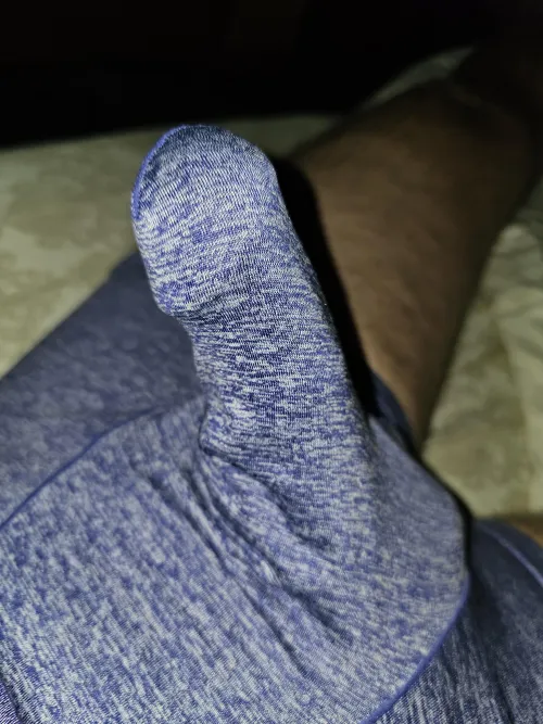 Purple Tent [45] by Agreeable_Rooster415