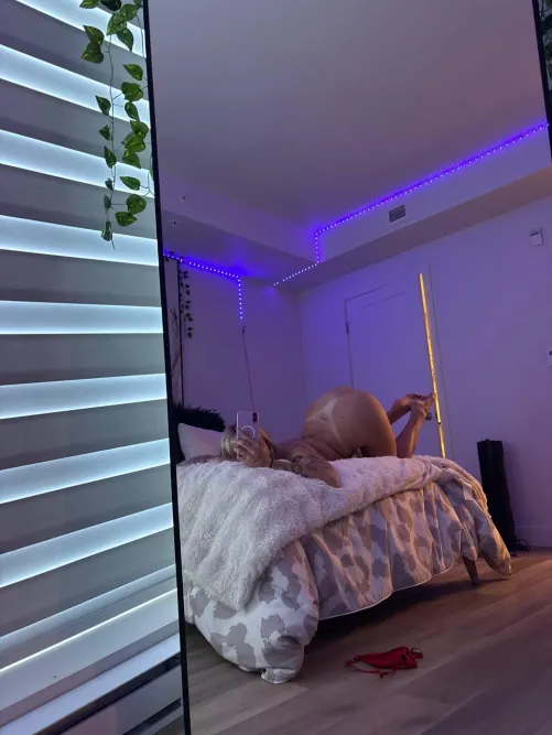 Pussy dripping onto the sheets — come lick me from clit to ass then slide in. by Fabulous-Beach5409