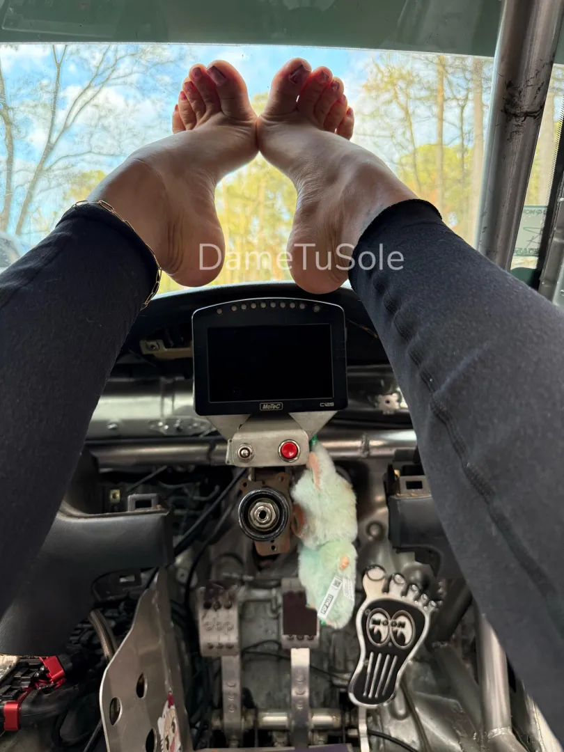 Putting them on display for the neighbors posted by DameTuSole