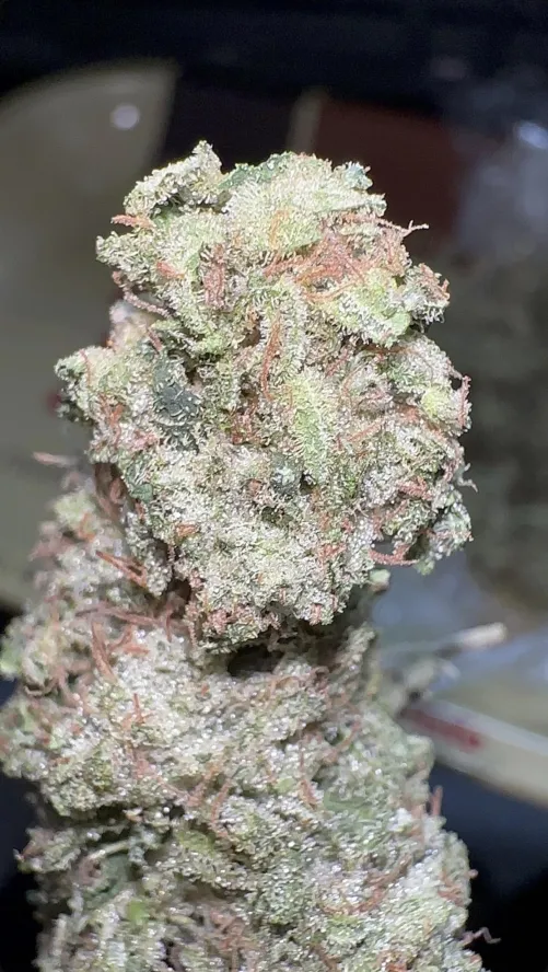 Qual foi a strain mais resinada que você já pegou? by paul_shots