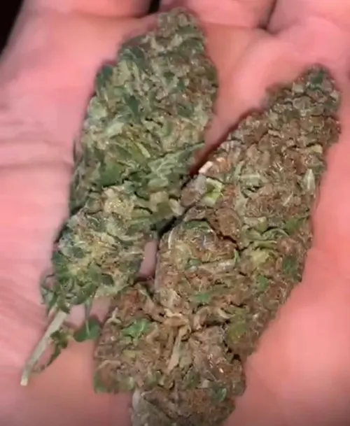 qual vcs escolheriam: 1 ou 2? by sazoryyy