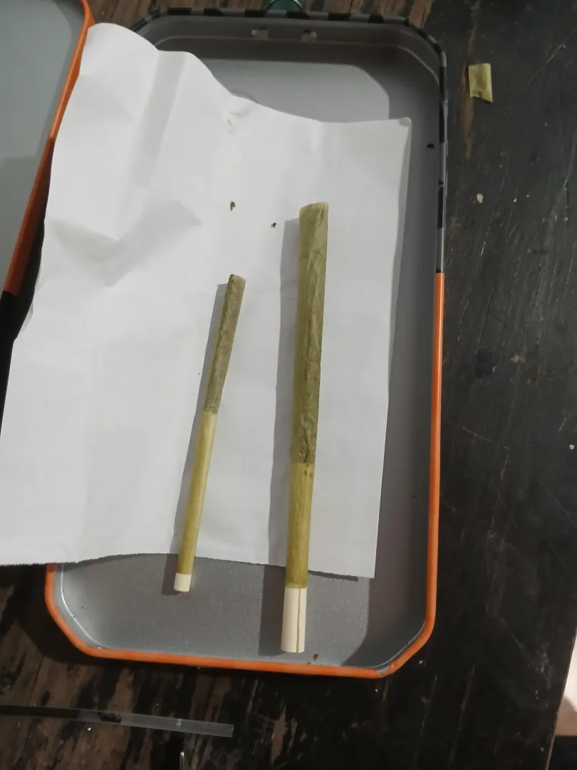 Quantidade que eu preciso pra chapar. Kunk X Pren posted by Shoddy_Ad_1662