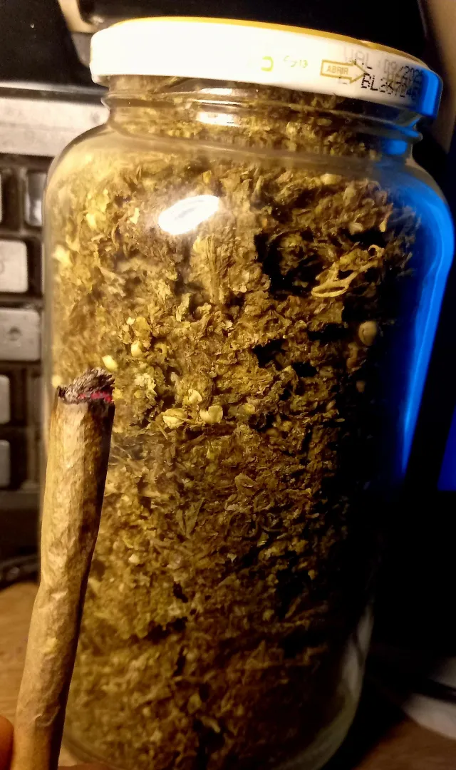 Quanto vocês gastam por mês com erva e quantos becks por dia vocês fumam ? posted by Sensitive-Agency-456