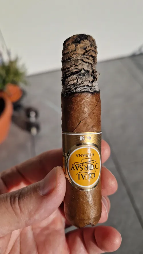 Quay d'Orsay 50 on a faux spring day by joshuablue22