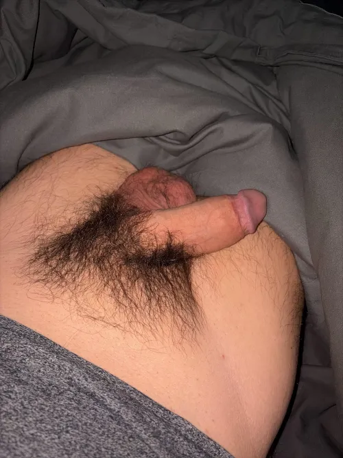  qui veut mon zizi ? by Responsible-Pay-6121