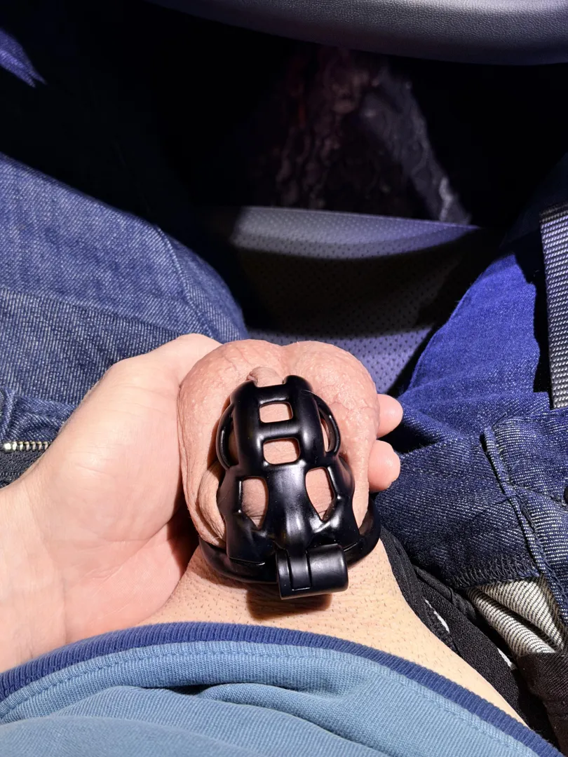 Quick cage check while driving in my N+ Cobra posted by BeautyAndTheCaged