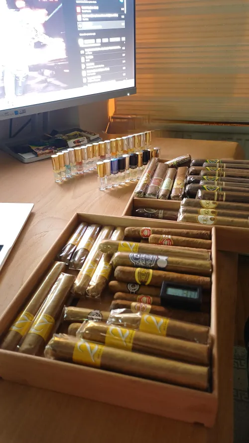 Quick Check by Plane-Pangolin5472