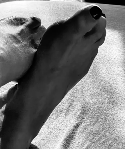 Quiet evening… just relaxing by SoftToDarkFeet