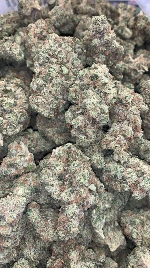 Quiet Kings Menu (H) by Strange-Prior-59