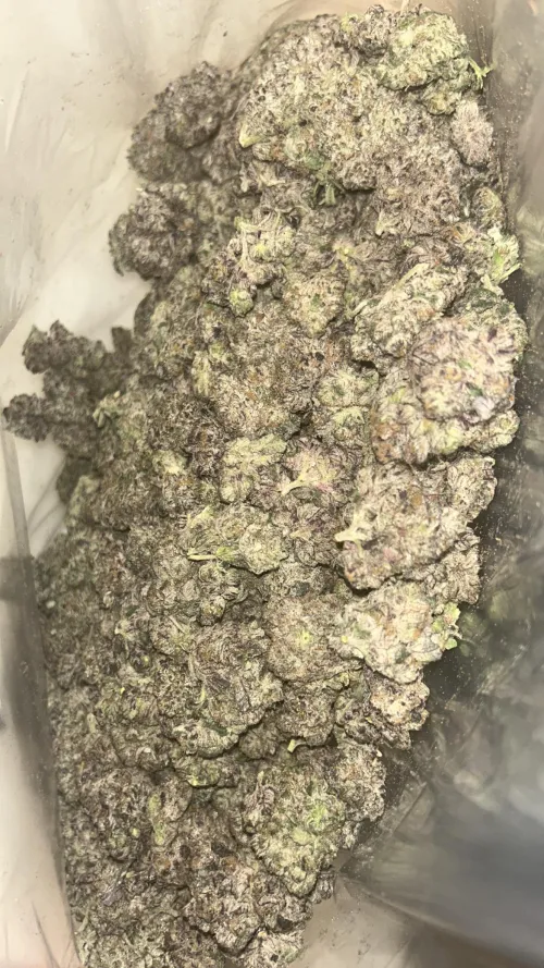 Rainbow aaa+  by Gloomy-Fox7471