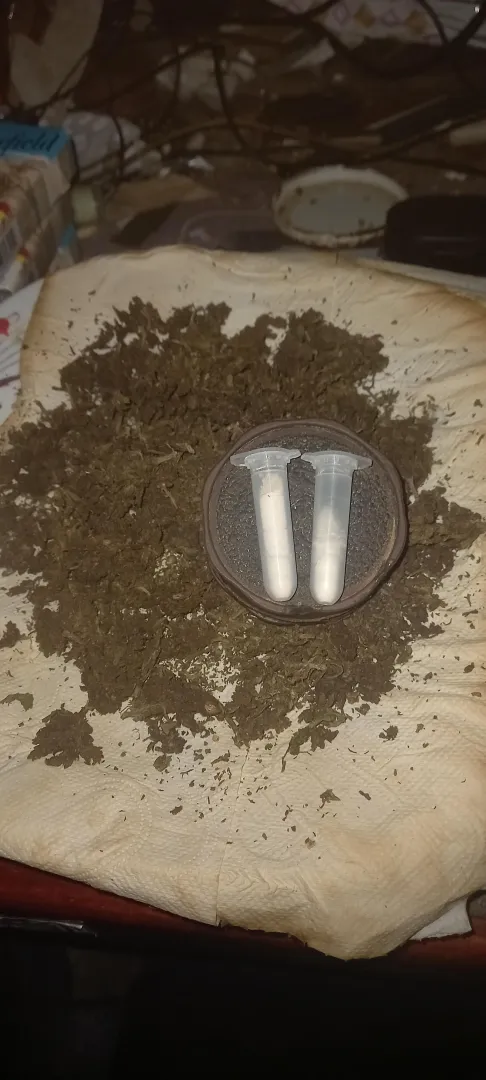 raiou com uns kunkzin duvidoso posted by Life-Good2496