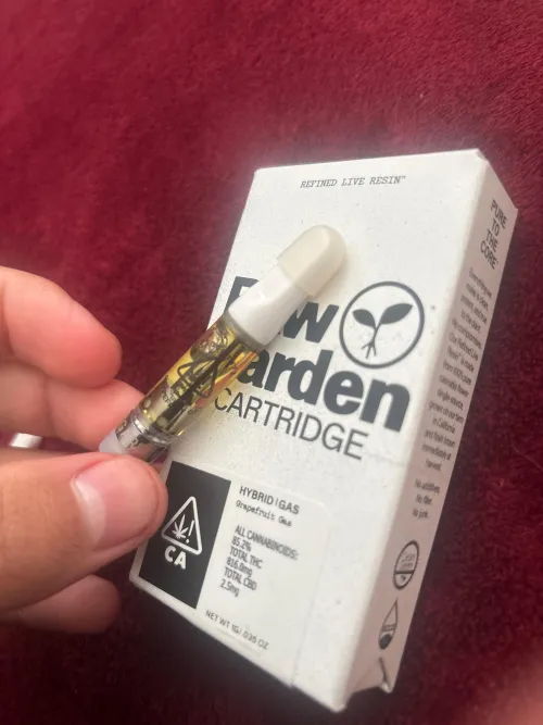 Raw garden  by Clean_University725