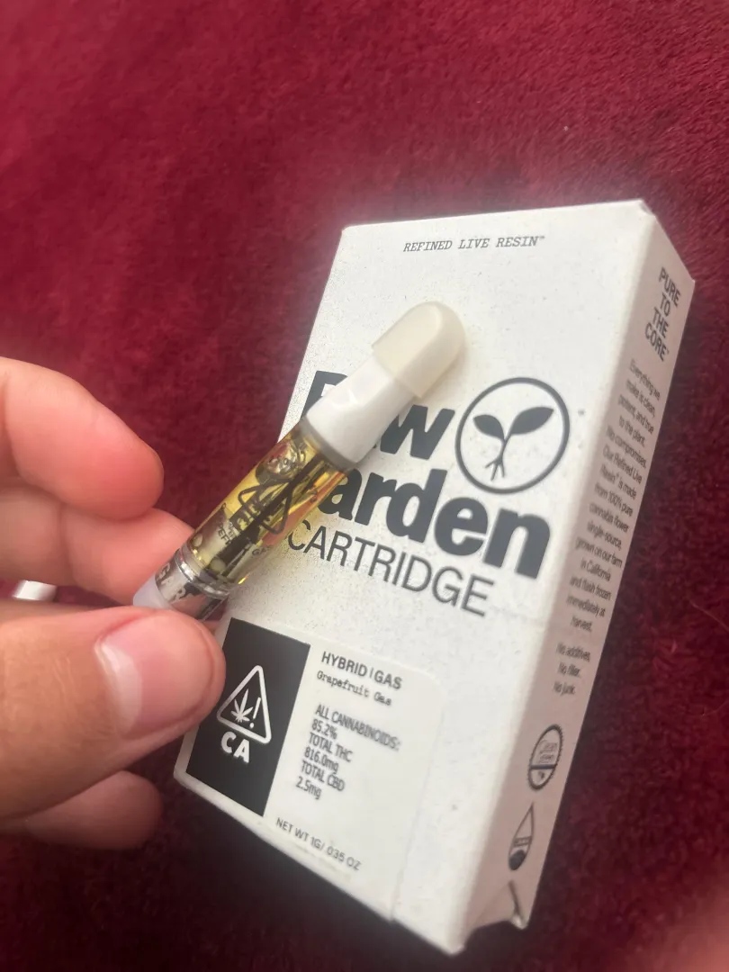 Raw garden  posted by Clean_University725