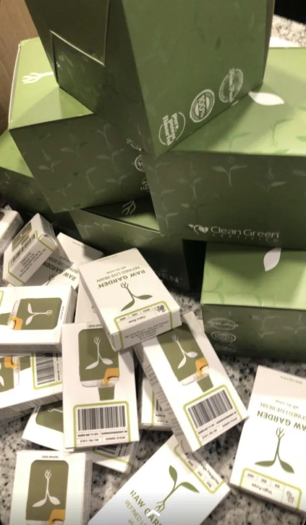 Raw garden posted by Consistent_love5839