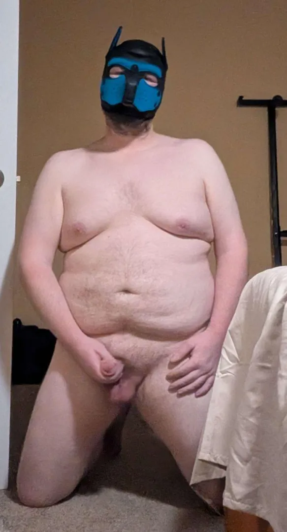 Ready to serve posted by bigggjacks