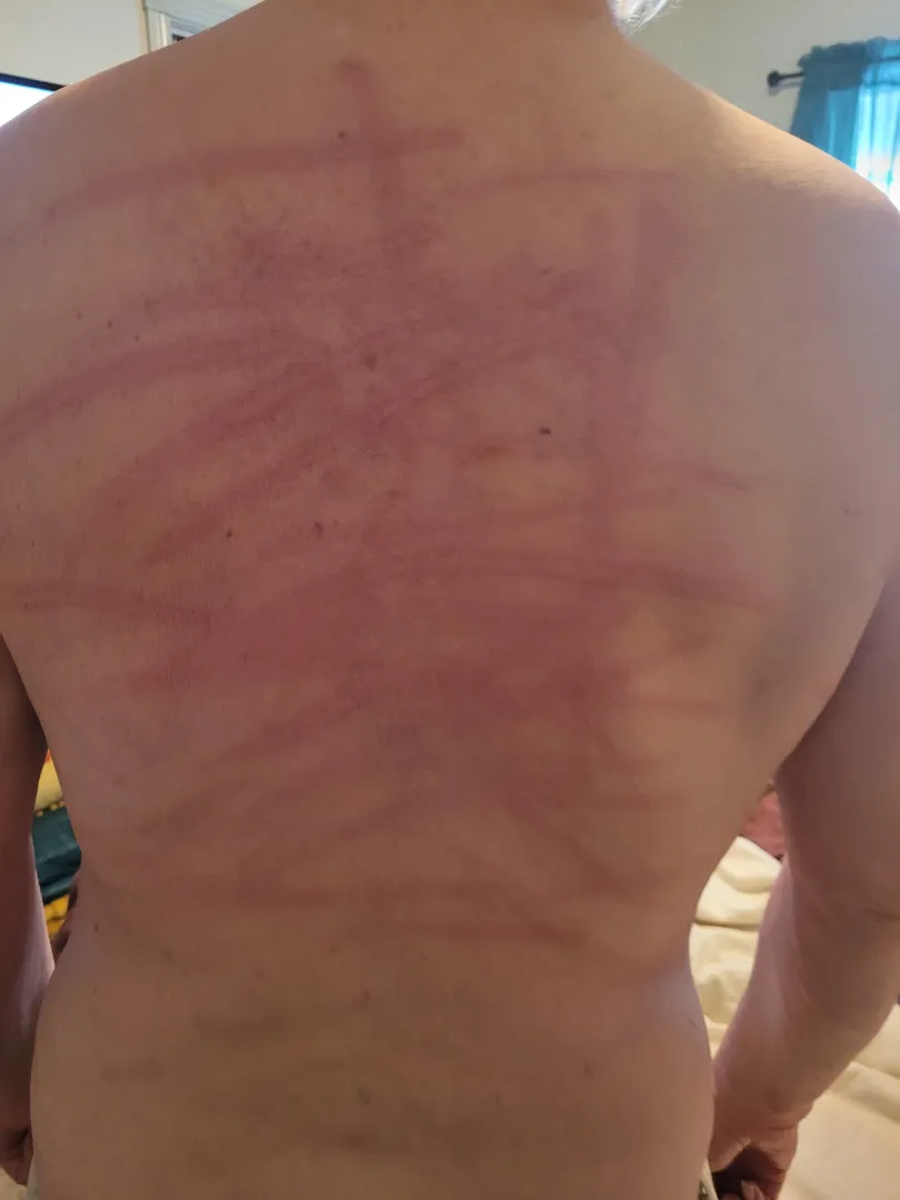 Recent Lashing posted by EsoViejoGuy