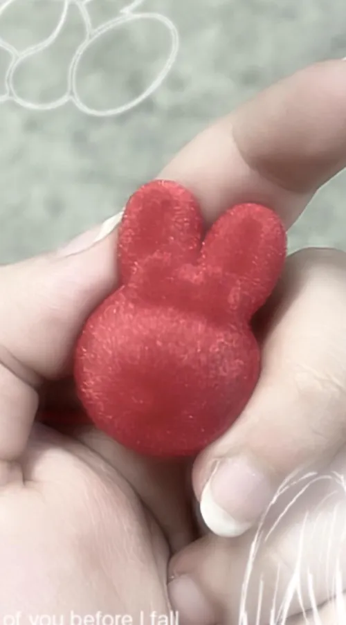 Red Bunny  by Little_strawberry19