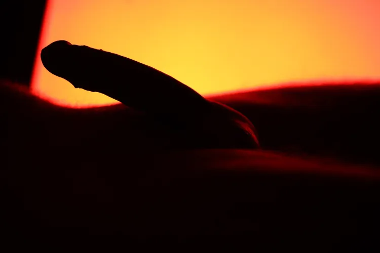 Red light and shadows by ProfessionalSweet728