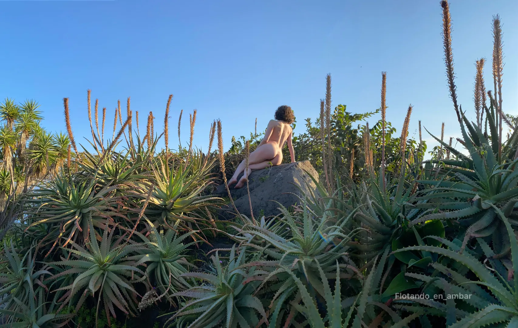 Resting on a rock posted by flotando_en_ambar